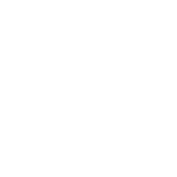 betamo-logo