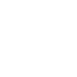 casinochan-logo